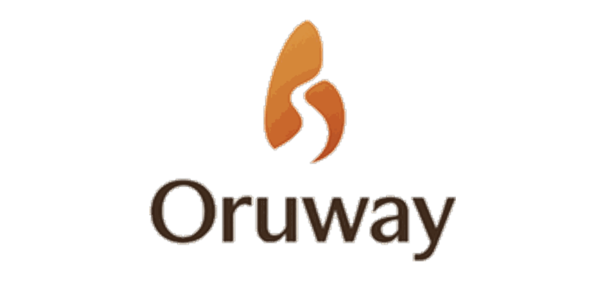 Oruway — One life. One path. Care with purpose.